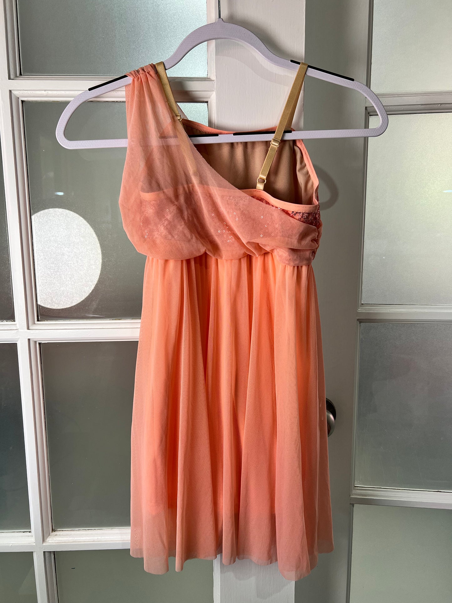 Balera D9617 – Sequin Plush Mesh Overlay